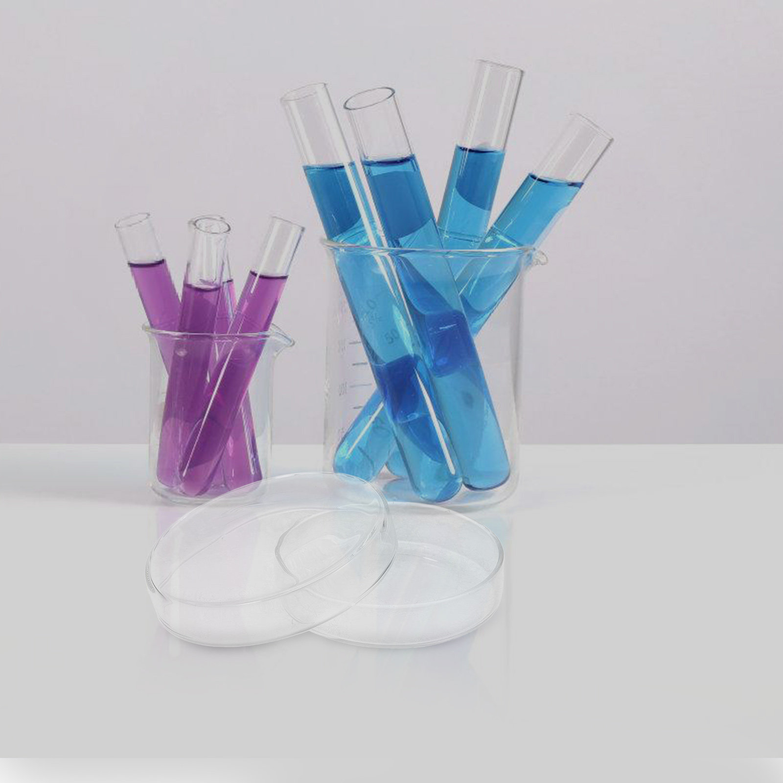 Agar Tissue Culture - Placa de cultivo de tejidos en